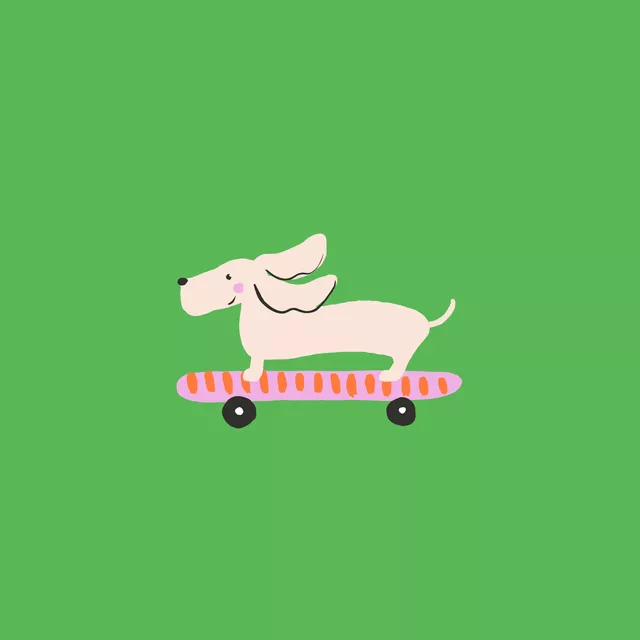 Kissen Dackel auf Skateboard