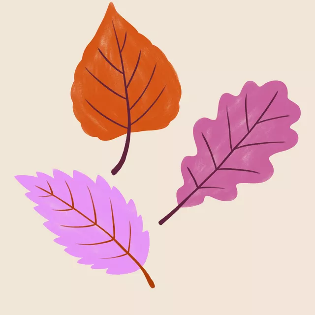 Kissen Herbstblätter pink orange