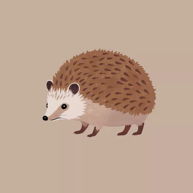 Tischset Igel