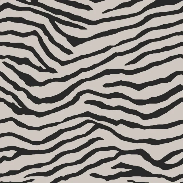 Dekovorhang Zebra