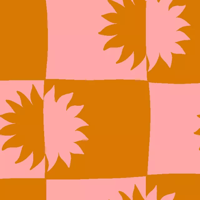 Kissen Sonne Karos Koralle Terracotta