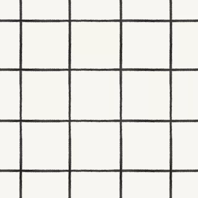 Bettwäsche Thin Checks Black