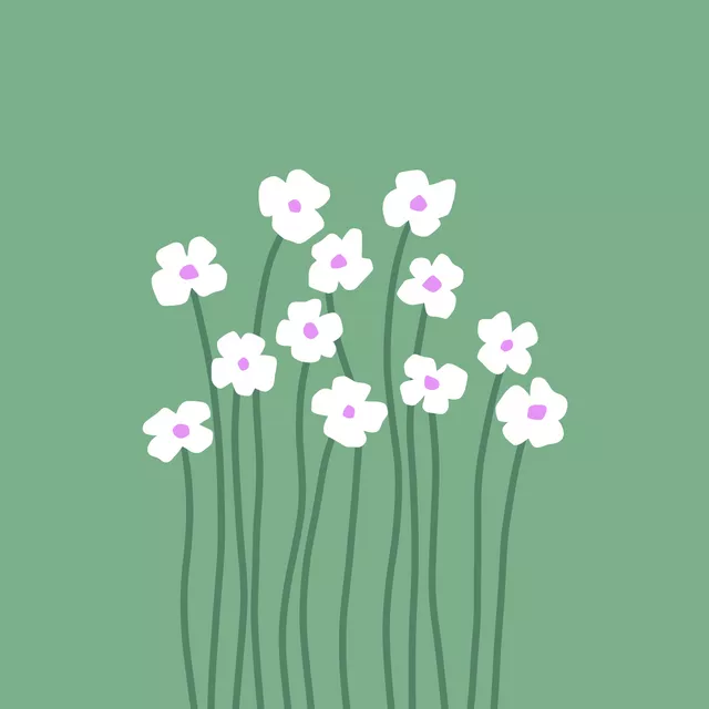 Tischset Daisies Margeriten grün