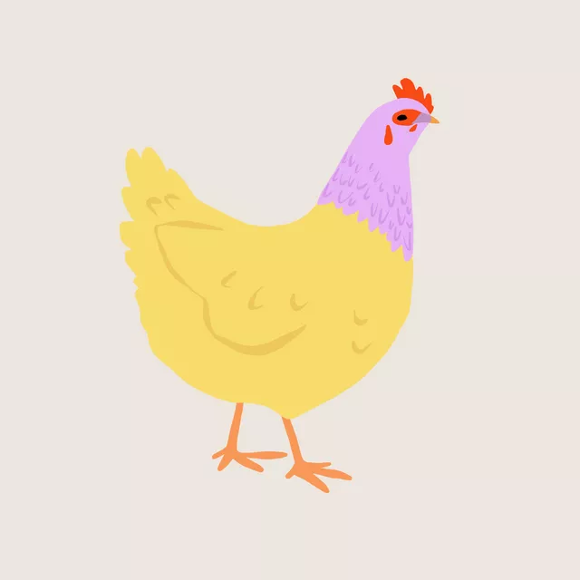 Kissen Huhn gelb pink