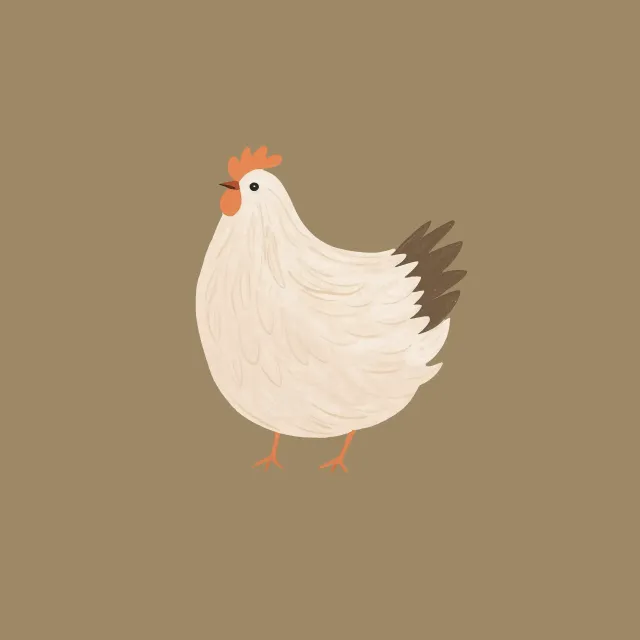 Kissen Huhn
