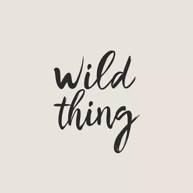 Geschirrtücher Wild Thing