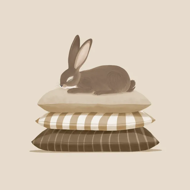 Kissen Hase Kissen schlafend