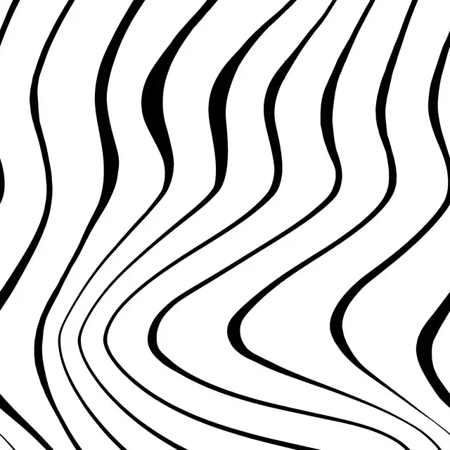 Kissen Floating Lines Black&White