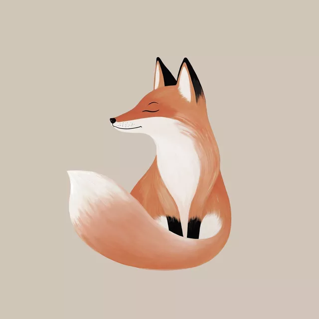 Kissen Fuchs