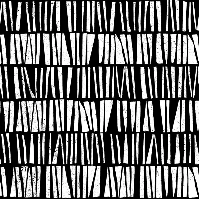 Shattered Stripes Black&White