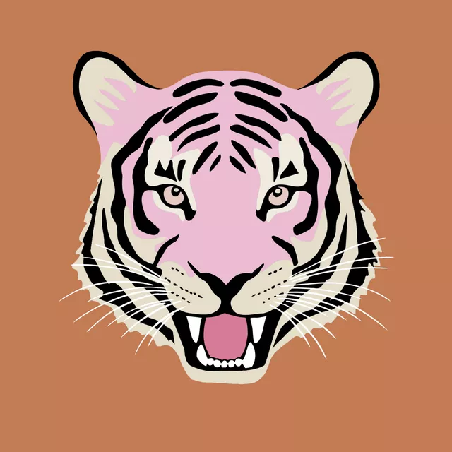Kissen Tiger