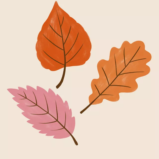 Kissen Herbstblätter orange rosa