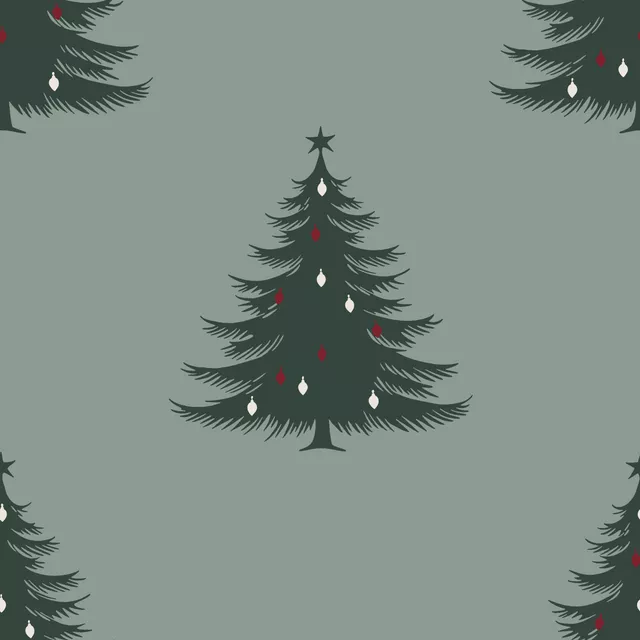 Weihnachtsbaum Tanne