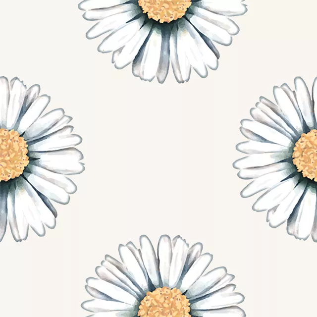 Kissen Wild Flowers Daisies