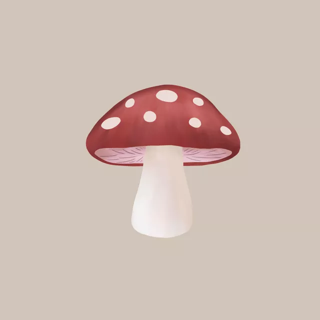 Kissen Fliegenpilz