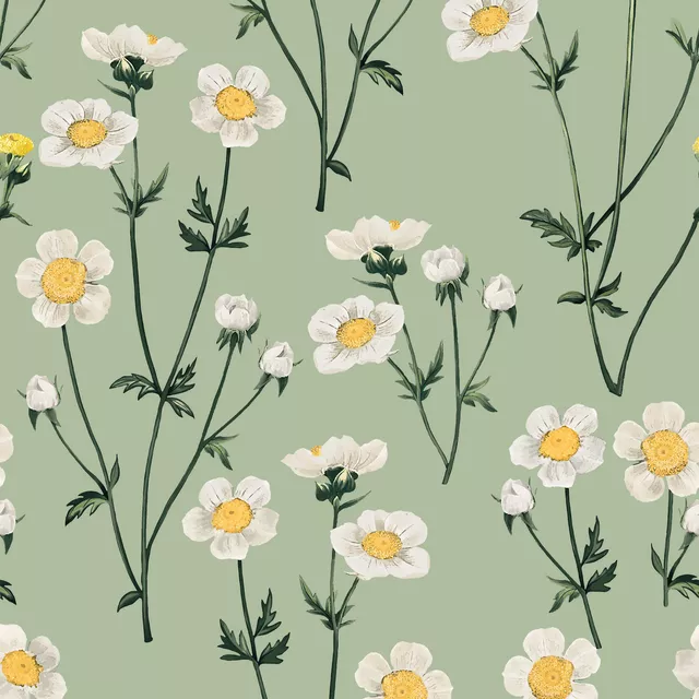 Wild Flowers White Green