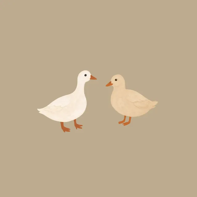 Kissen Enten Frühling