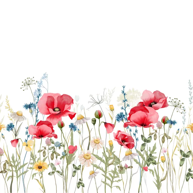 Kissen Mohn und Kornblumen Feld