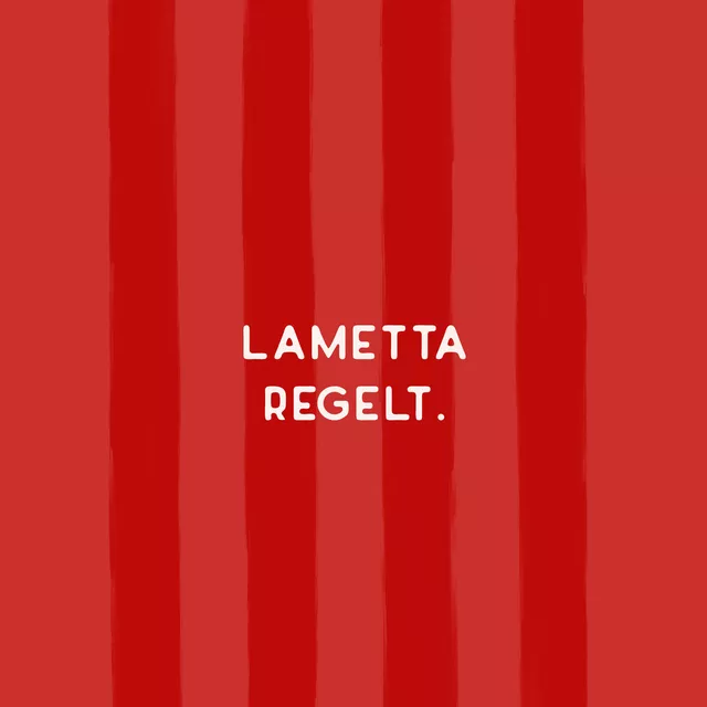 Kissen Lametta regelt