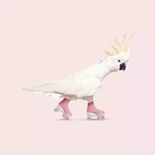 Kissen Rollerskating Cockatoo