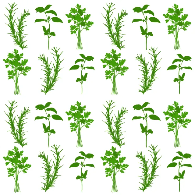 Dekovorhang Gartenkräuter Muster