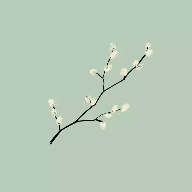 Kissen Catkins Fresh Sage