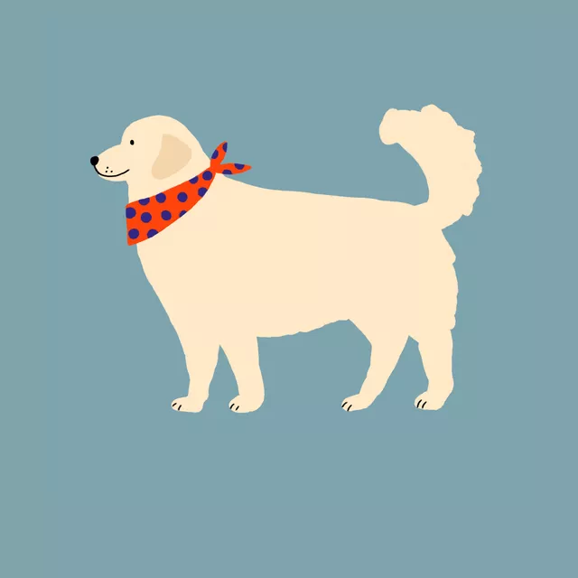 Servietten Golden Retriever