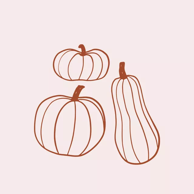 Kissen Kürbis Braun Beige Wendekissen