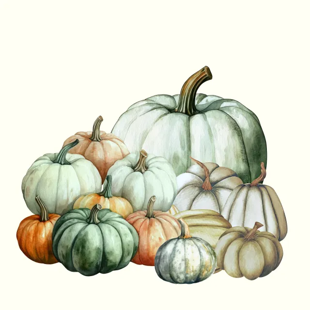 Kissen Bunte Kürbisse im Herbst