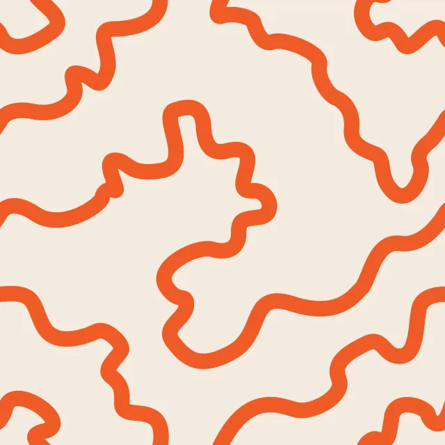 Kissen Abstract Wavy Lines orange