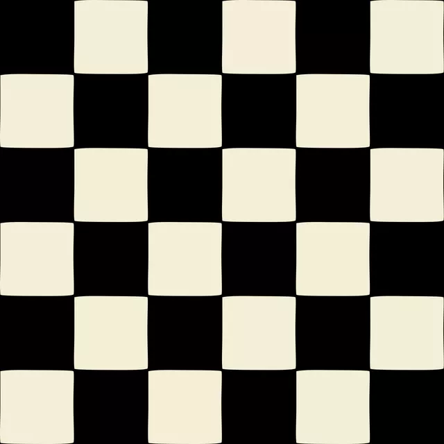 Kissen Kariert Black Beige