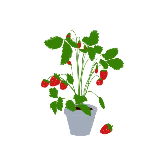 Servietten Erdbeerpflanze