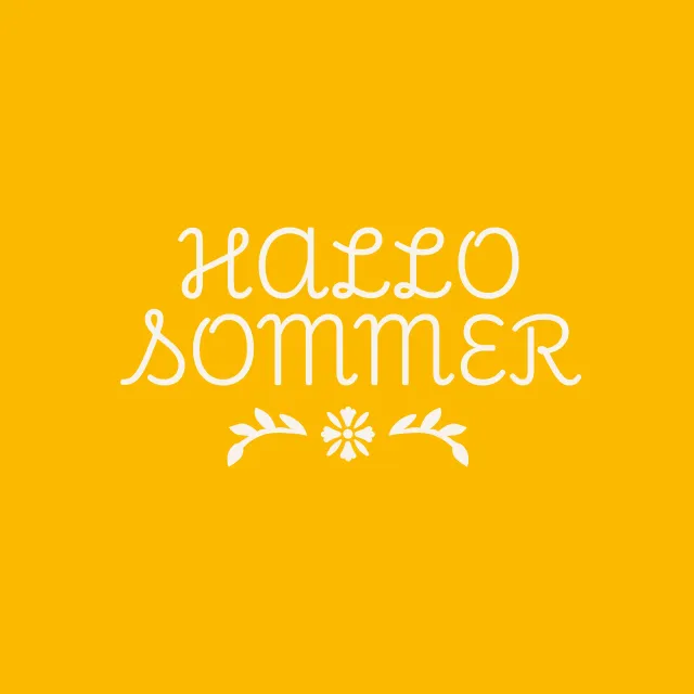 Kissen Hallo Sommer