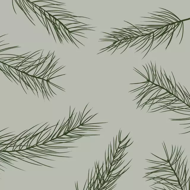 Servietten Tannenast 3