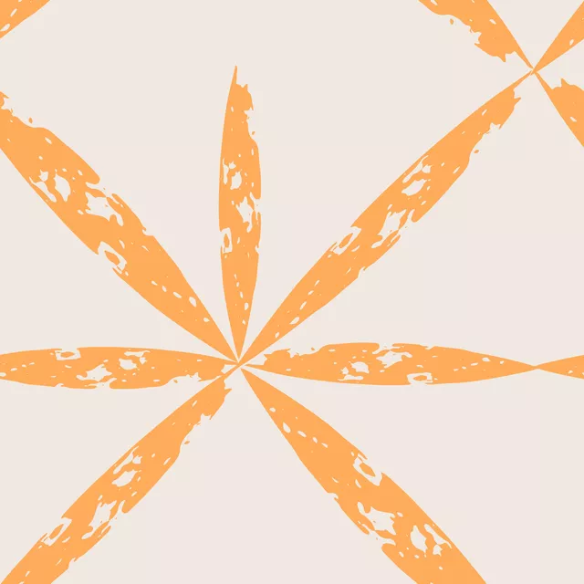 Dekovorhang Boho Star Brush Orange