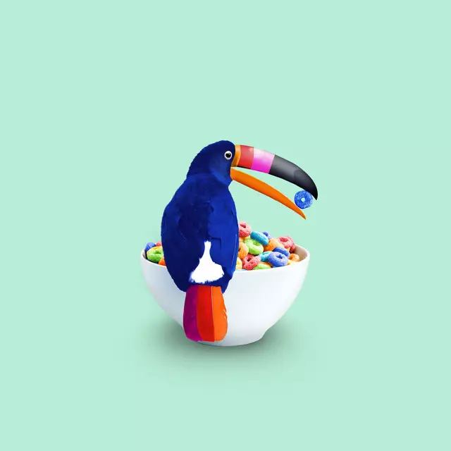 Kissen Cereal Toucan