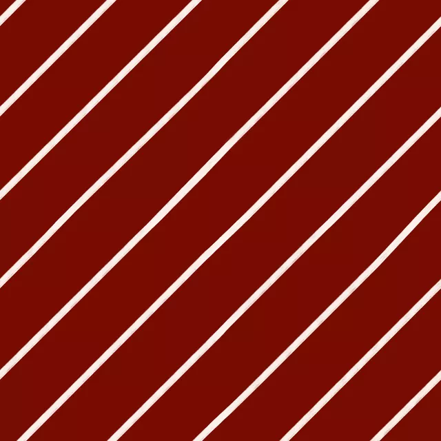 Kissen Streifen Diagonal Rot