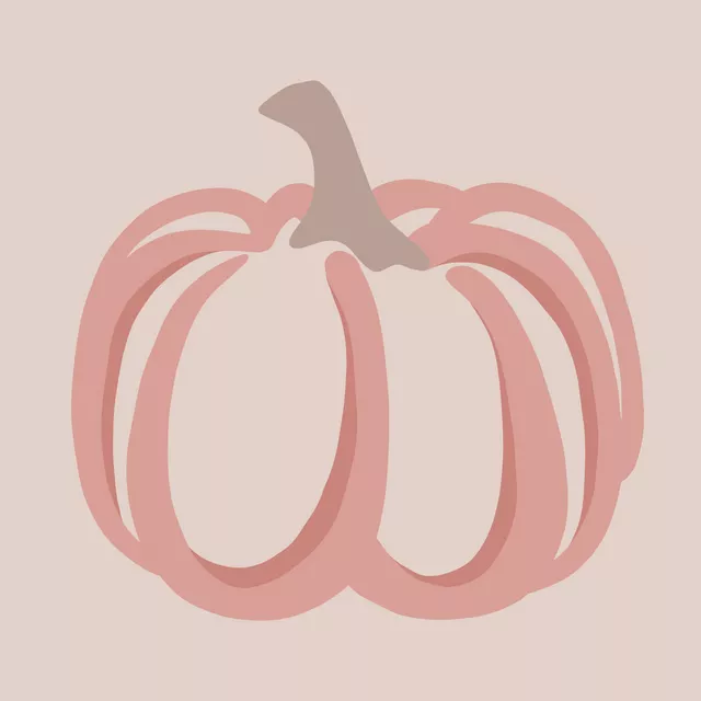 Kissen Kürbis Pumpkin rosa