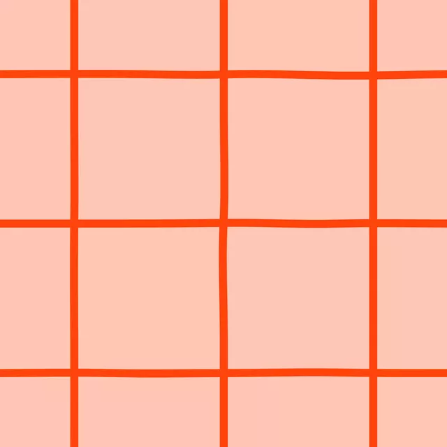 Kissen Grid Rosa & Rot