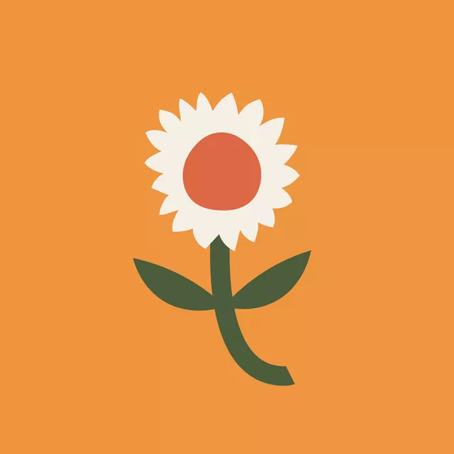 Kissen Sunflower Orange Red