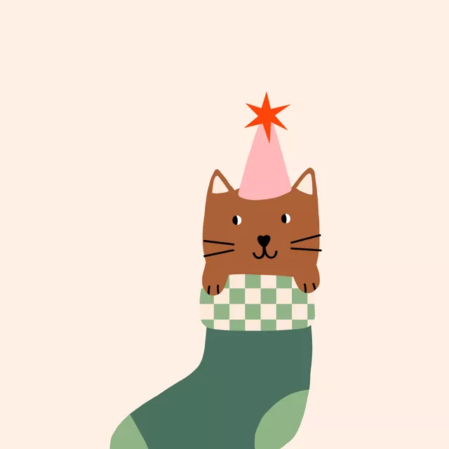 Kissen Katze Weihnachtssocke