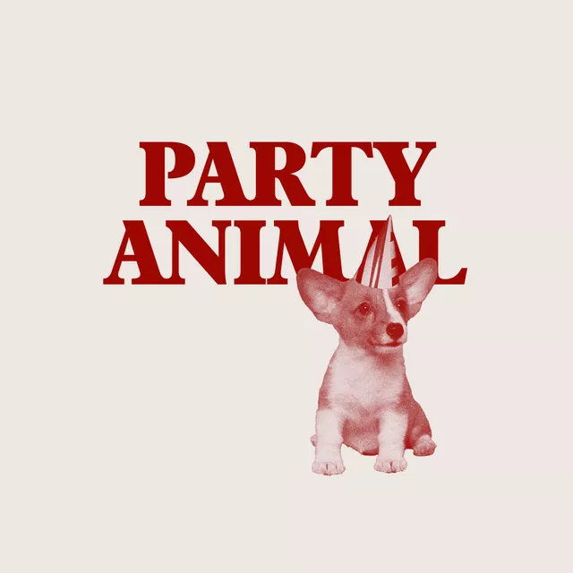 Geschirrtuch Party Animal