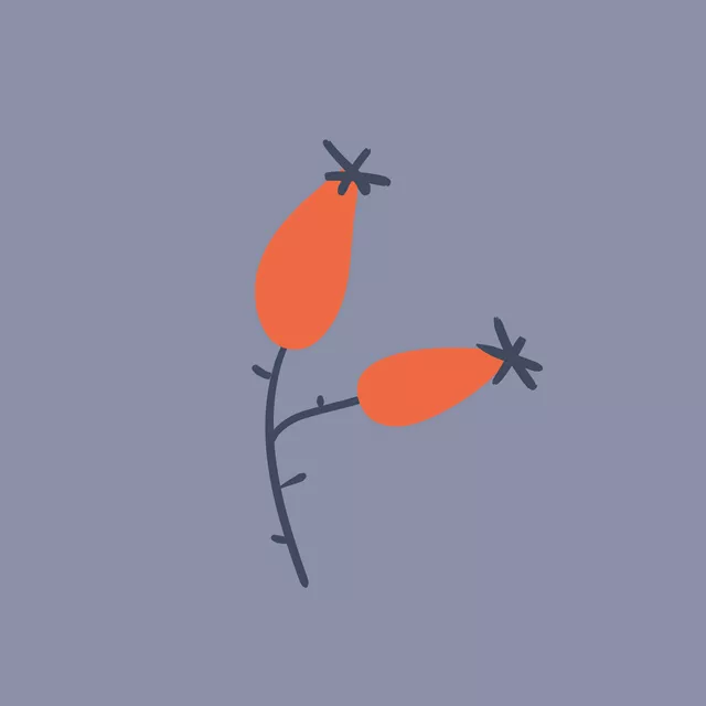 Kissen Herbstzauber Hagebutte - blau