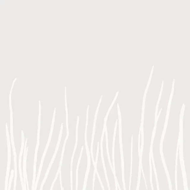 Tischset Gräser Hell