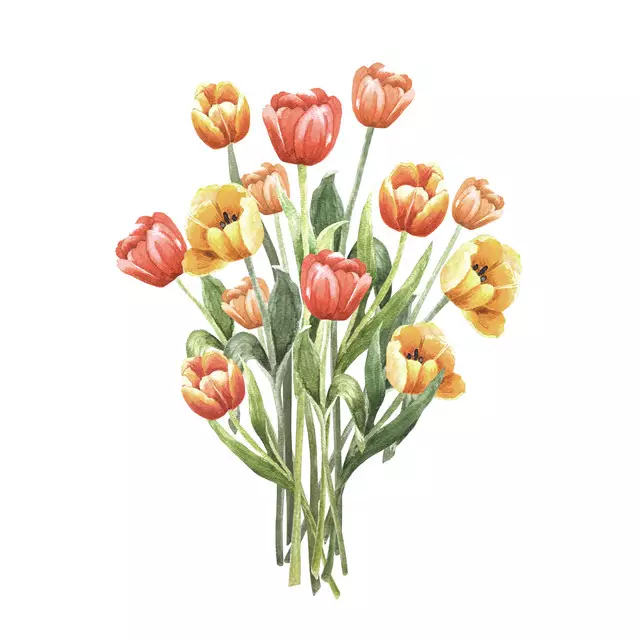 Kissen Tulpen Blumenstrauß gelb