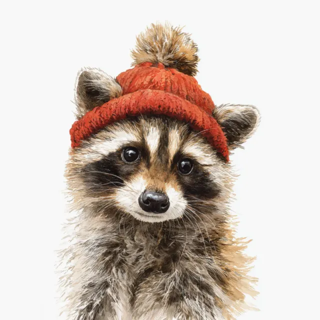 Kissen Winter Waschbär