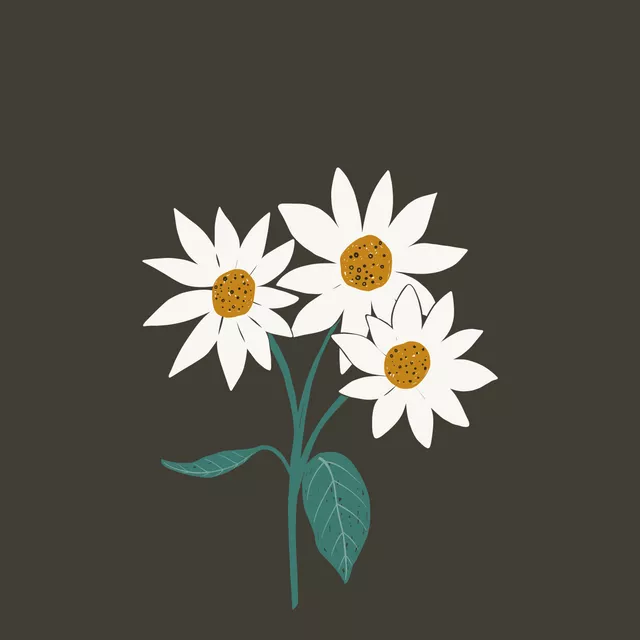 Kissen Blume abstrakt anthrazit