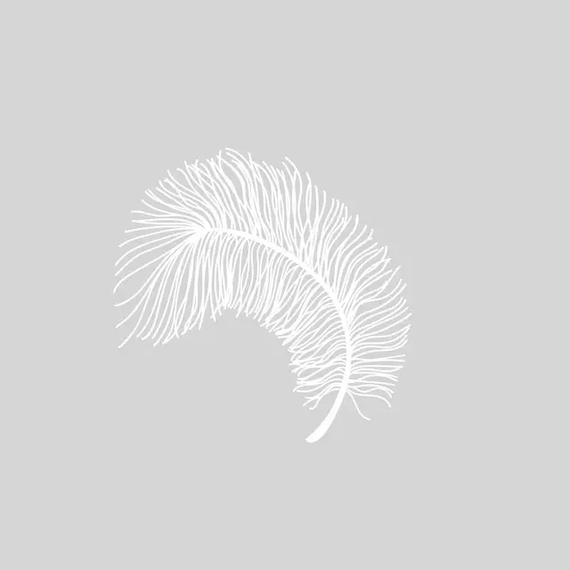 Kissen Feder grey & white