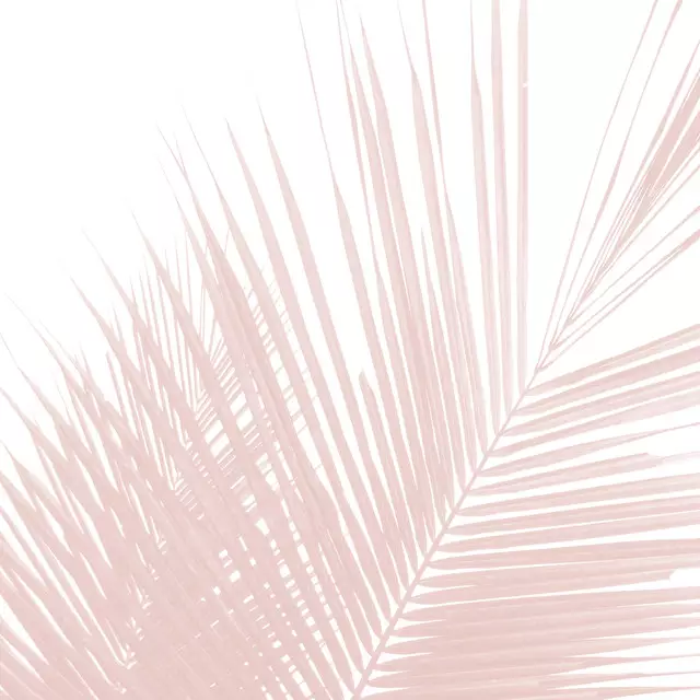 Kissen Minimalist Pink Palmenblatt