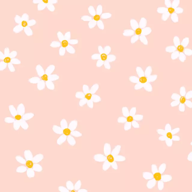 Kissen Gänseblümchen rosa